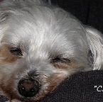 Chloe Carroll Sleep