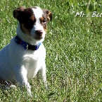 Mr. Buster