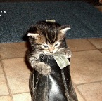 Kazzi Mullen in boot