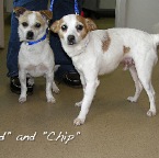 Spud and Chip Redburn