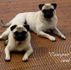 Cooper and Judi Glanville Lay